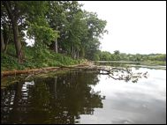 Roxy Pond Shoreline Restoration Project